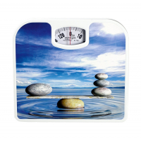 Весы напольные механические Maxtronic MAX-1641