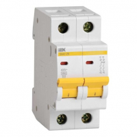 Автоматический выключатель IEK ВА47-29 2р 25А 