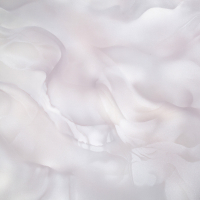 Обои виниловые на флизелиновой основе Palitra HomeColor 1,06х10,05 м (72452-24)