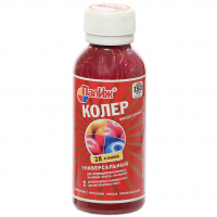 Паста-колер №28 Palizh Слива (100 мл)