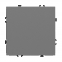 Выключатель Stekker Эмили 2-клавишный скрытой установки без рамки, платиново-серый (RSW10-5107-10)