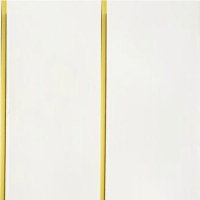 Панель ПВХ Софитто-2 Золото 0,2х3 м