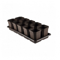 Семена и изделия для рассады