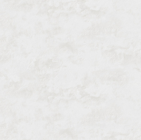 Обои виниловые на флизелиновой основе Victoria Stenova Револют фон 1,06х10,05 м (588052)