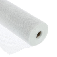 Сетка стеклотканевая (Серпянка) 2х2 мм, 1х10 м