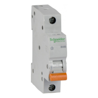 Автоматический выключатель Домовой ВА63 1Р 40А