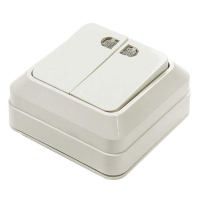 Выключатель Bolleto 7123 2-клавишный открытой установки с подсветкой, белый