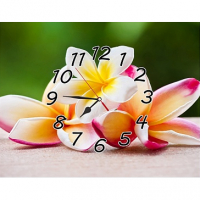 Часы-картина настенные ПР027 30х40 см