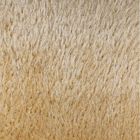 Ковролин Defier 01800A Cream (4,0 м)