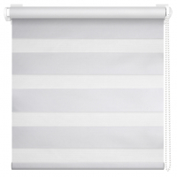 Рулонная штора Мидлайт День-Ночь 57х150 см, Белый