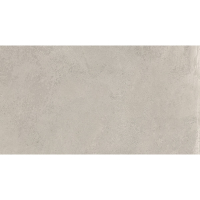 Керамогранит NR011 Alzirr Light 30х60 см