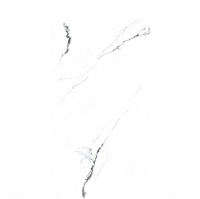 Керамогранит SR204 Videl Bianco 60х120 см