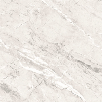 Керамогранит TP66M17 Пантир 60х60 см