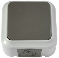 Выключатель Пралеска 1-клавишный открытой установки, серый