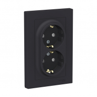 Розетка Schneider Electric AtlasDesign 2-местная с/з скрытой установки, карбон (ATN001024) 