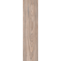 Керамогранит WD11 Forest Gold Terra 20х80 см