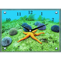 Часы настенные В18, 25х35см