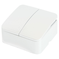 Выключатель Stekker София 2-клавишный открытой установки (MSW10-20-01)