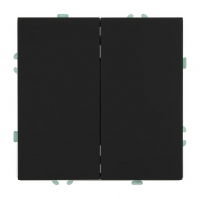 Выключатель Stekker Эмили 2-клавишный скрытой установки без рамки, черный уголь (RSW10-5104-05)