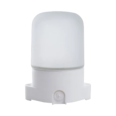 Светильник Feron НББ 01-60-001 накладной для бани 60Вт IP65