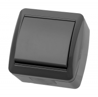 Выключатель TDM Селигер 1-клавишный открытой установки, серый (SQ1818-0101)